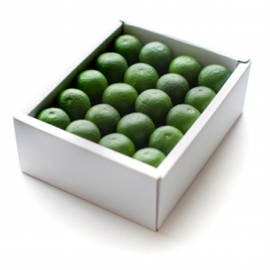 [SD01]徳島県産すだち 進物用1kg